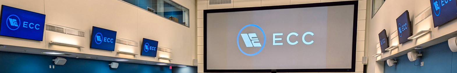 Audio/Visual/Lighting Technology Solutions