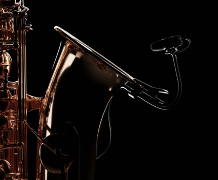 DPA Microphones 4099 CORE+