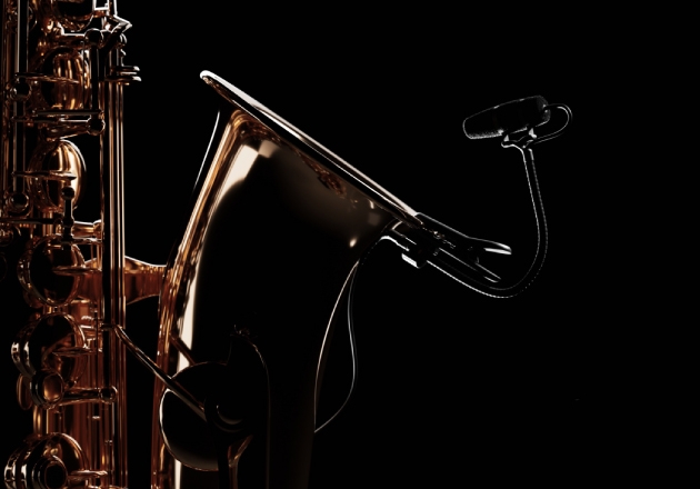 DPA Microphones 4099 CORE+